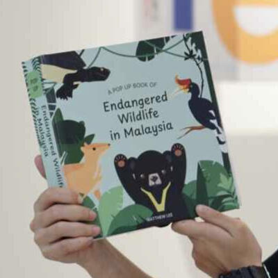 Endangered Wildlife in Malaysia (Self-Published)